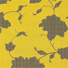 Bloom Lemondrop